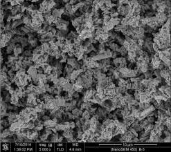 نانو ZSM-5 زئولیت با اندازه ذرات 50 ~ 100nm برای کاتالیزور / جاذب
