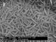 سیلیسیم آلومینیوم قلیایی سیلیکون Na Y در گرانول برای خشک کردن پروپیلن گلیکول
